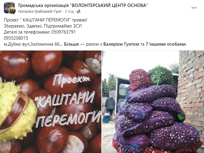 Порада на мільйон. Де можна здати каштани і хто за це платить найбільше
