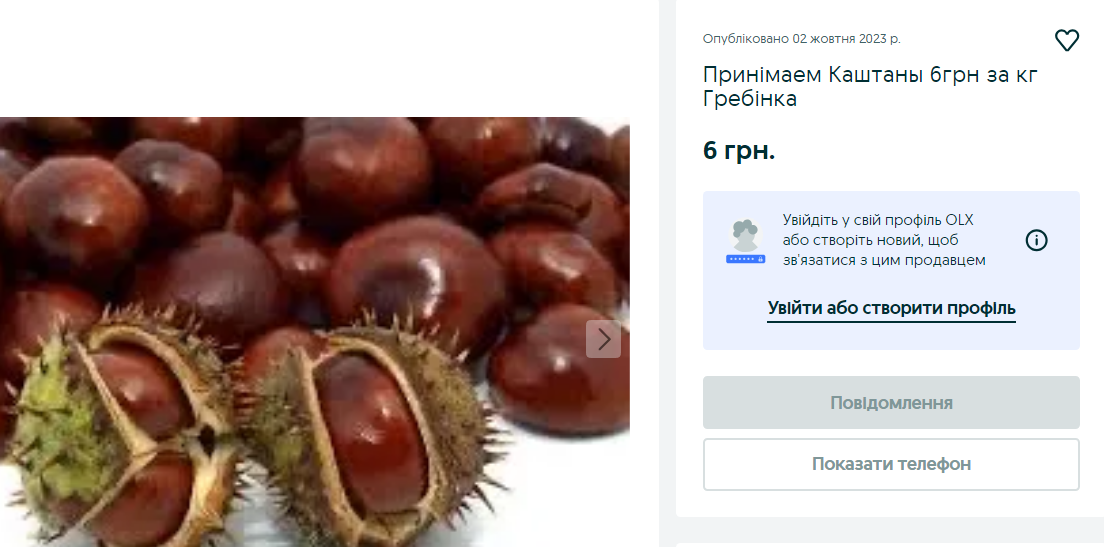 Порада на мільйон. Де можна здати каштани і хто за це платить найбільше