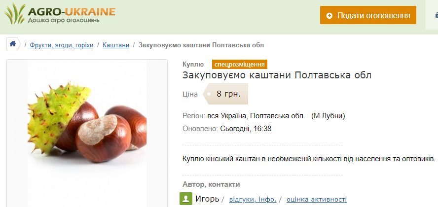 Порада на мільйон. Де можна здати каштани і хто за це платить найбільше