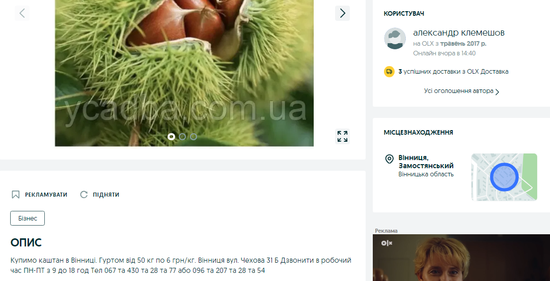 Порада на мільйон. Де можна здати каштани і хто за це платить найбільше