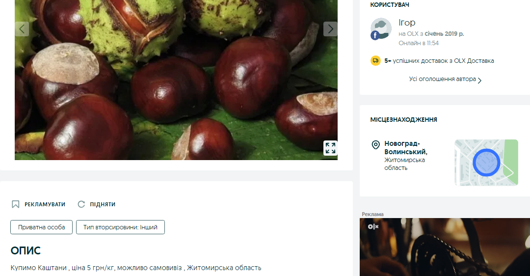 Порада на мільйон. Де можна здати каштани і хто за це платить найбільше