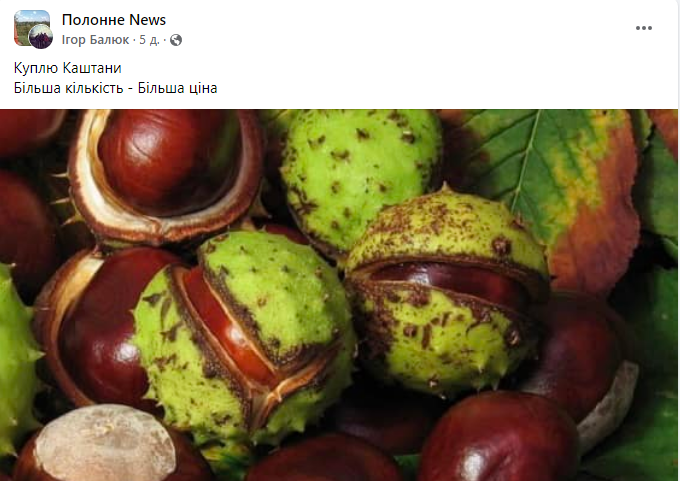 Порада на мільйон. Де можна здати каштани і хто за це платить найбільше