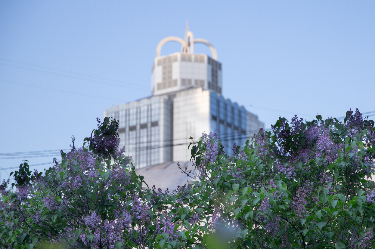 Де у Києві розцвів бузок: найкращі місця для прогулянок і фото