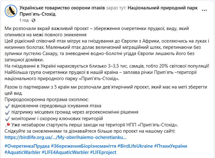 Рідкісний співочий птах зникає: в Україні починають місію порятунку