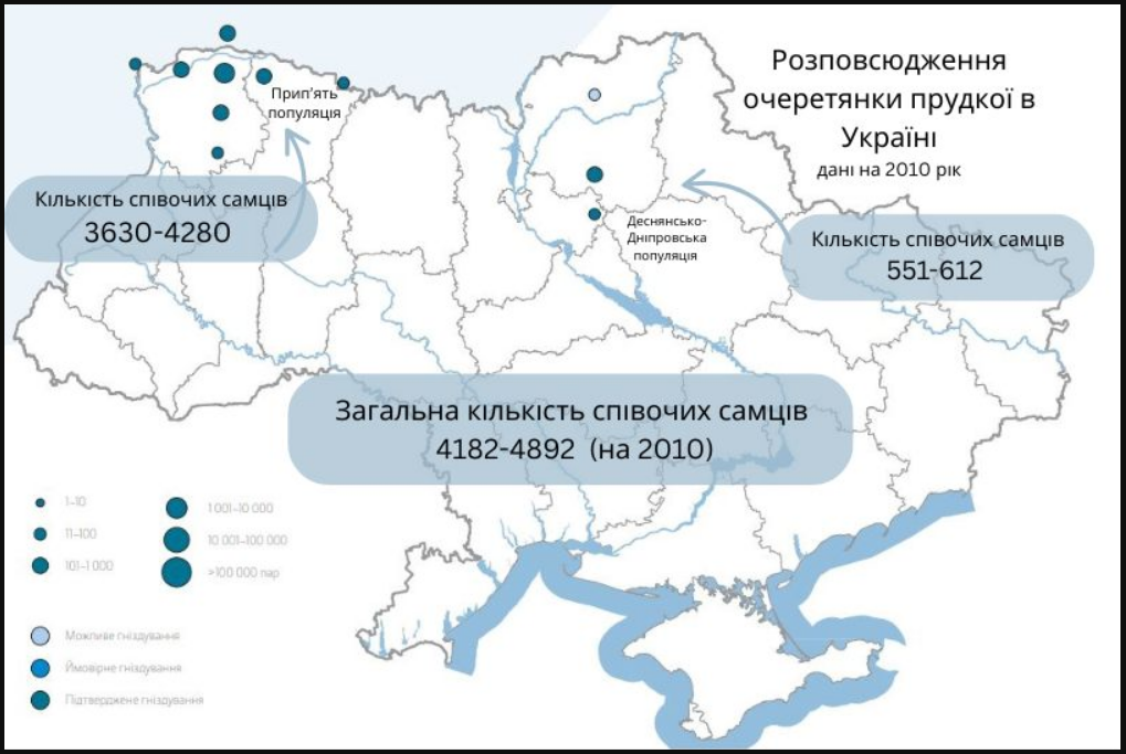 Рідкісний співочий птах зникає: в Україні починають місію порятунку