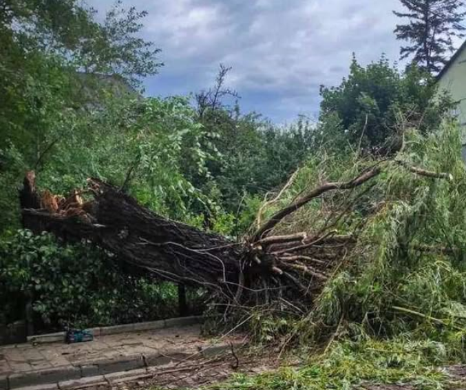 Негода наробила лиха у Чернівецькій області: де зникло світло
