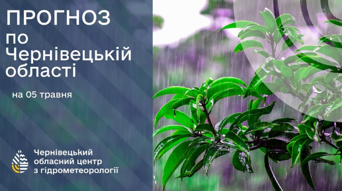 Негода наробила лиха у Чернівецькій області: де зникло світло