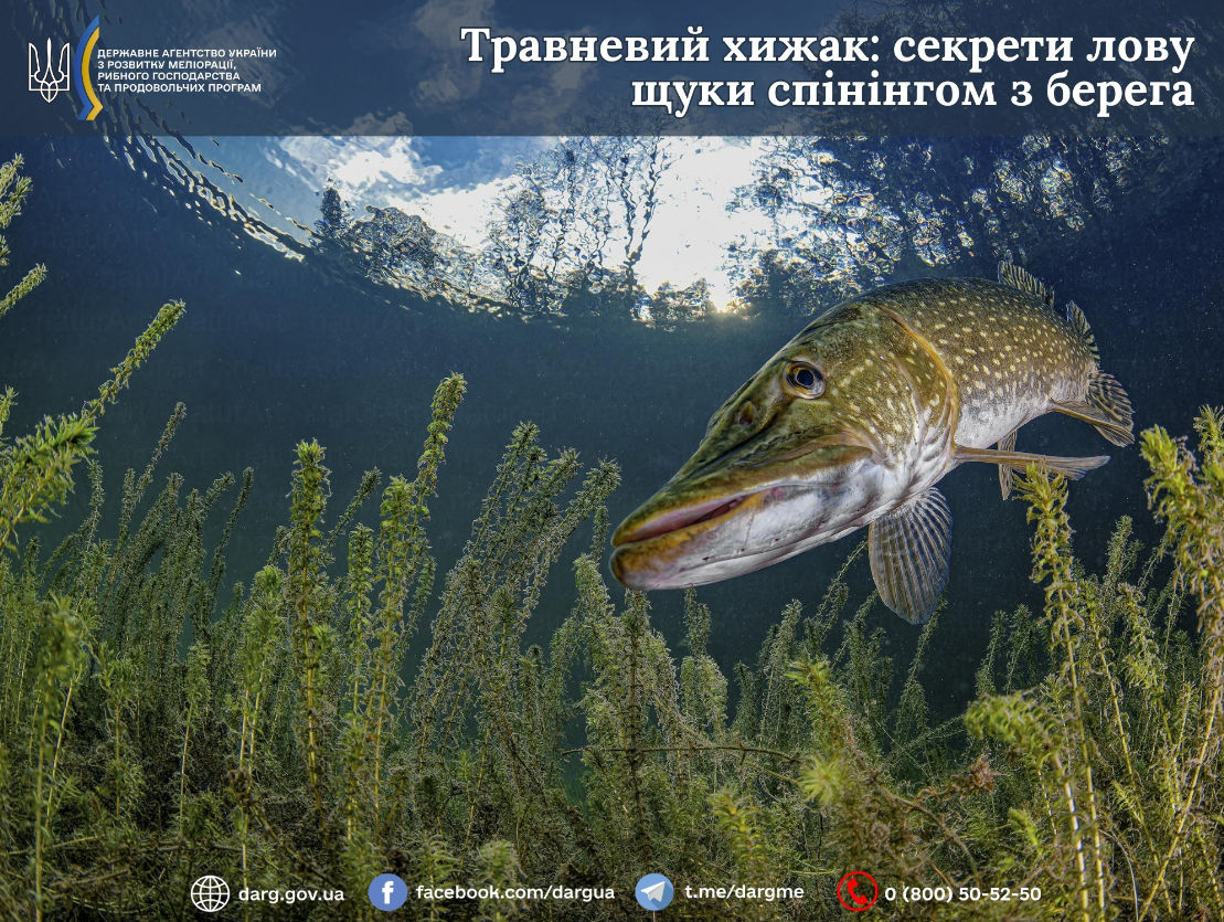 Травневий сезон: де шукати рибу і як не втратити трофей на гачку