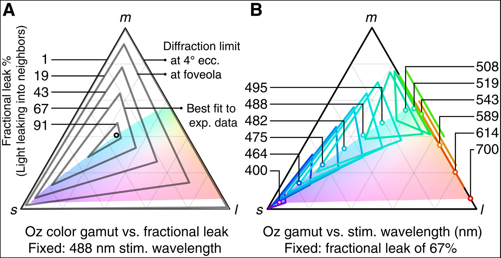 Що таке "оло"? Вчені заявили про новий колір, якого світ ще не бачив