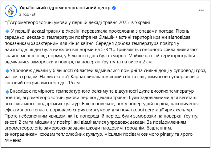 Травневі заморозки вдарили по врожаю? Які культури не витримали холоду