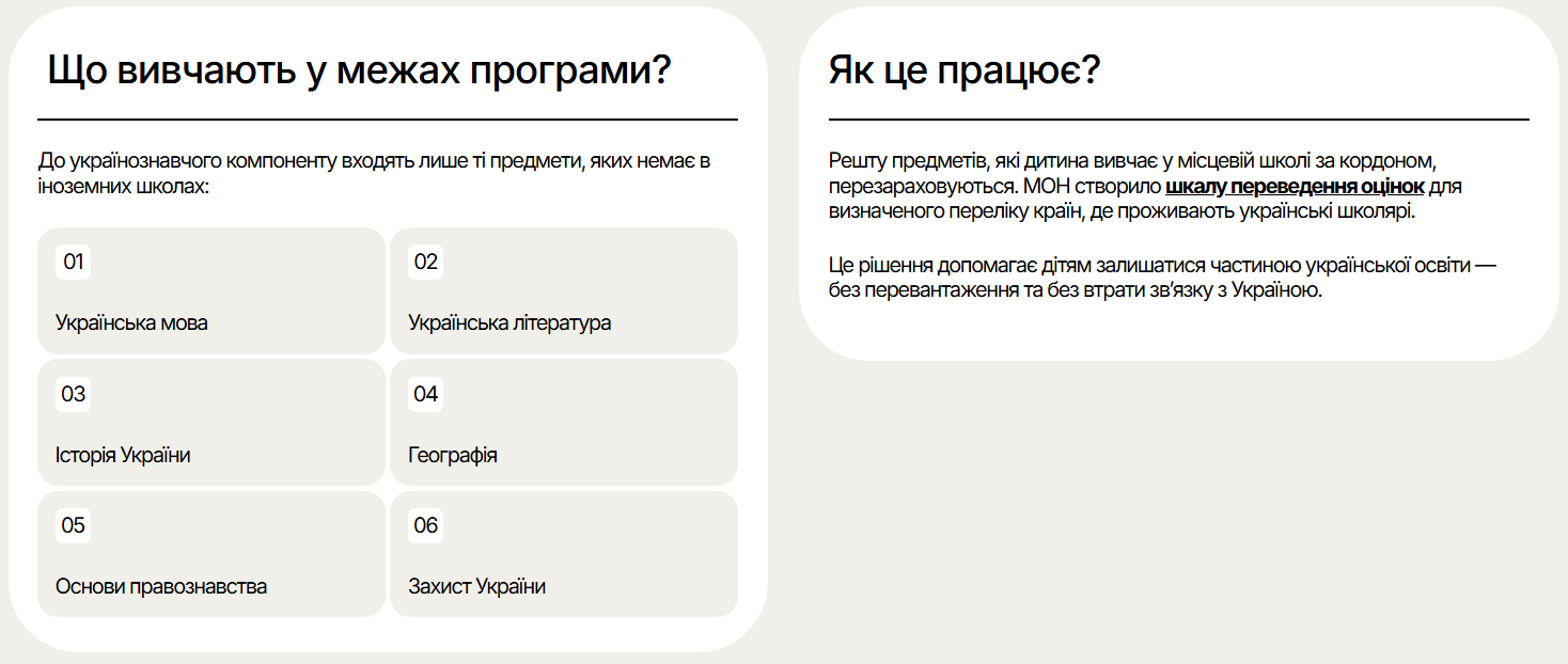 МОН запустило платформу для учнів за кордоном: як поєднати навчання у школах двох країн