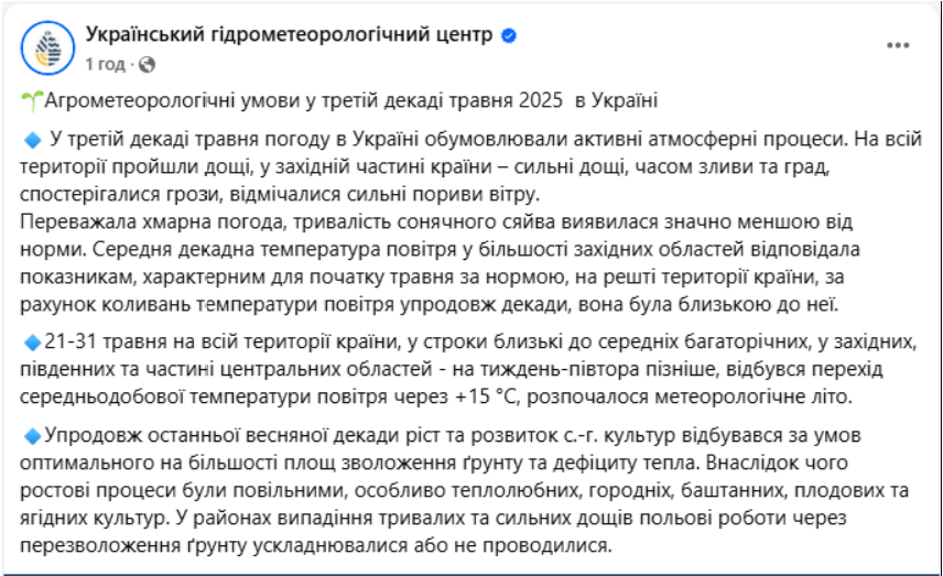 Замість тепла у травні - зливи й град: що найбільше постраждало на городах