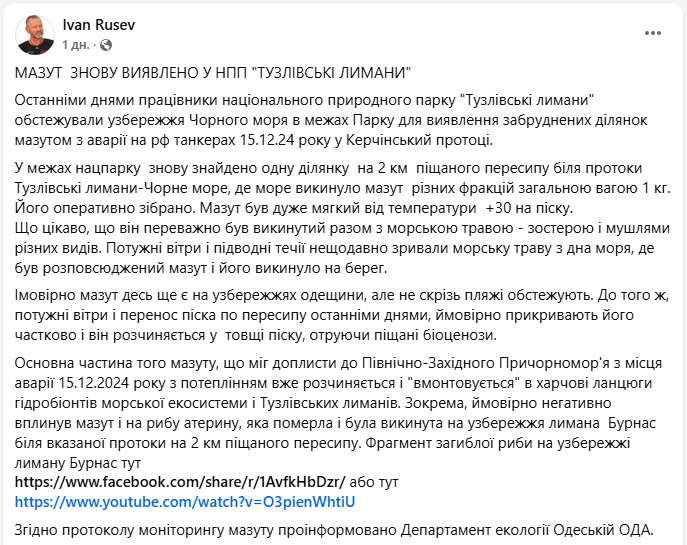 Екоцид? У нацпарку в Одеській області знайшли мазут, загиблих риб і дельфіна
