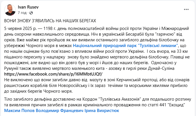 Екоцид? У нацпарку в Одеській області знайшли мазут, загиблих риб і дельфіна