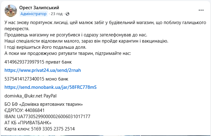 У Львові просто в магазині знайшли лисеня: що сталося з малюком (фото)