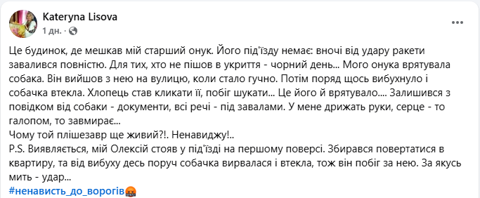 "Врятувала собака": у Києві хлопець вижив під час атаки РФ завдяки улюбленцю