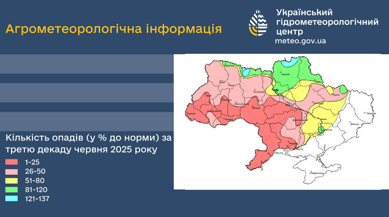 Врожай під загрозою? Як погода кінця червня вдарила по городах і полях