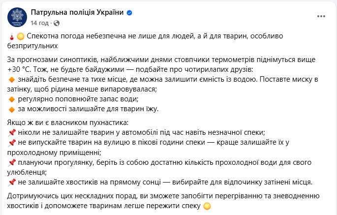 Летняя опасность для животных: полиция рассказала, что грозит четвероногим и как их спасти