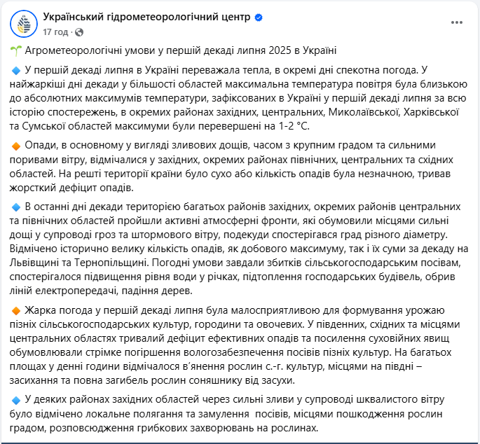 Початок липня "вдарив" по врожаю: які культури постраждали від спеки й злив найбільше