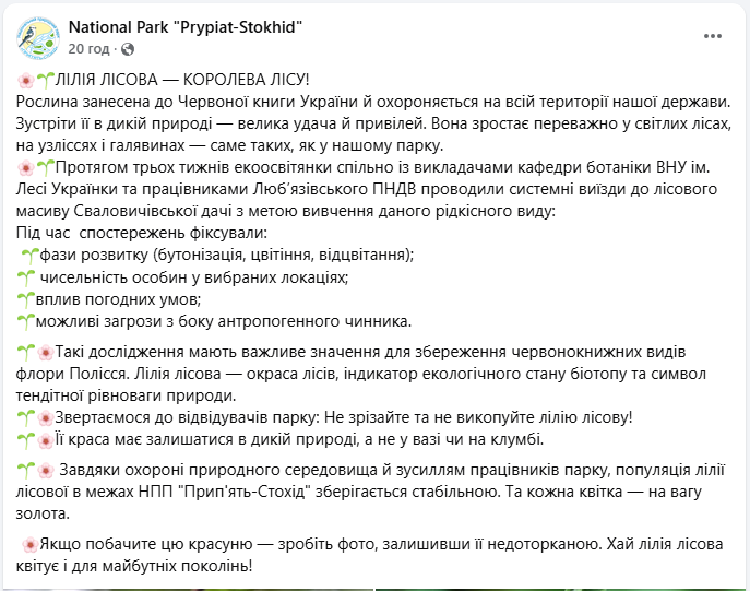 Кожна - на вагу золота: українцям показали рідкісну лісову квітку (фото)