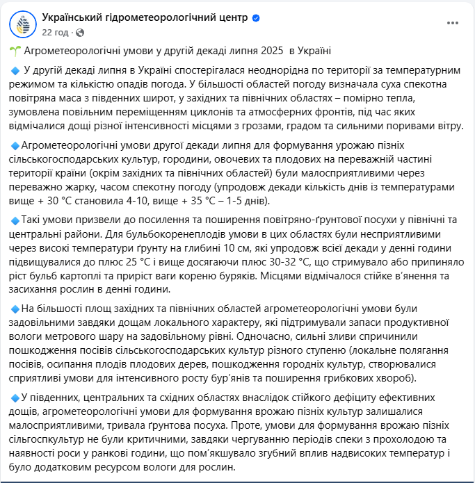 Від посухи до потопів: врожай яких культур під загрозою через липневу погоду в Україні