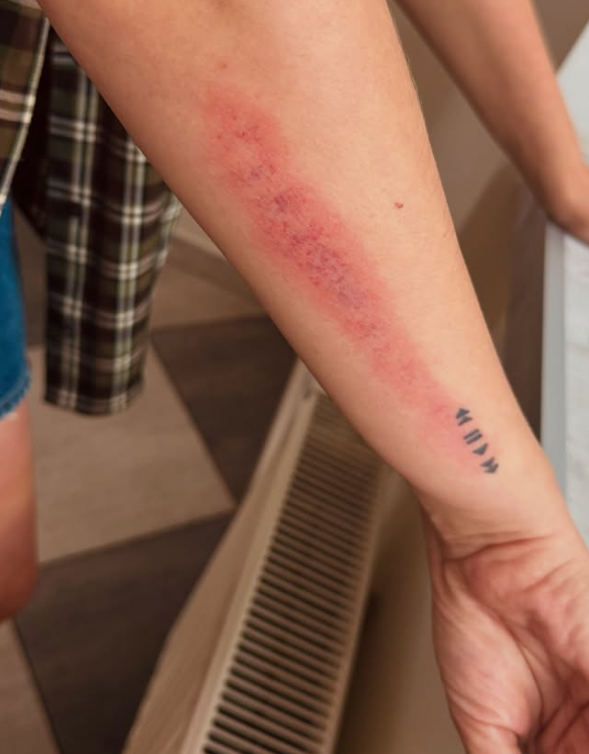 "Місце жінки - на кухні"? У магазині чоловік атакував дівчину через заморожені млинці