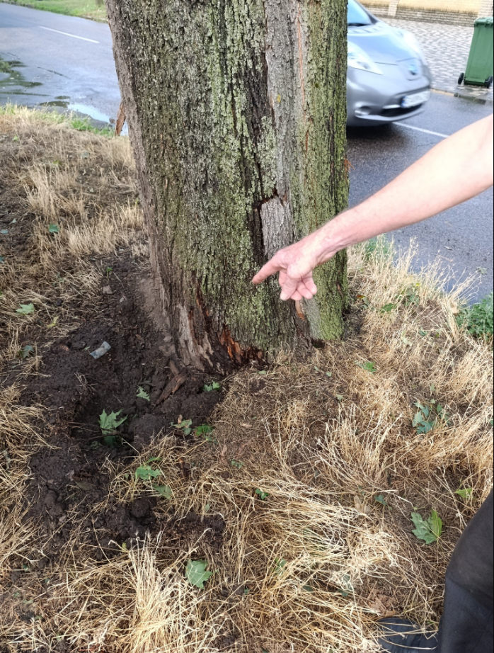 Спалах світла й "вибух": у Черкасах блискавка влучила у водопровід (фото)