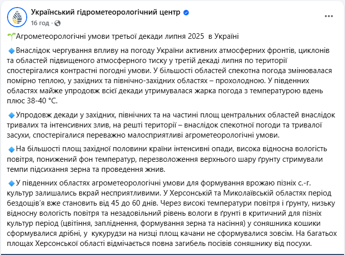 Негода вдарила по врожаю? Де в Україні жнива призупинились, а посіви - гинуть