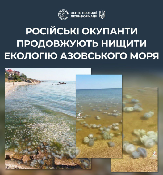 В Азовському морі нашестя медуз: узбережжя на межі екокатастрофи через дії окупантів