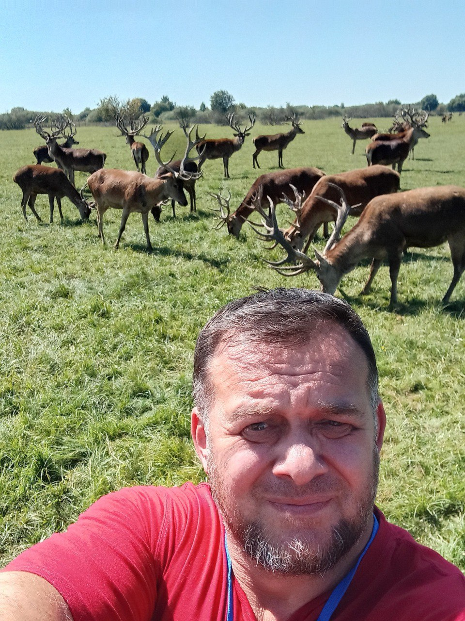 Бешенство, клещи и хищники в городе: почему ежей лучше не трогать, а лисы – опасны