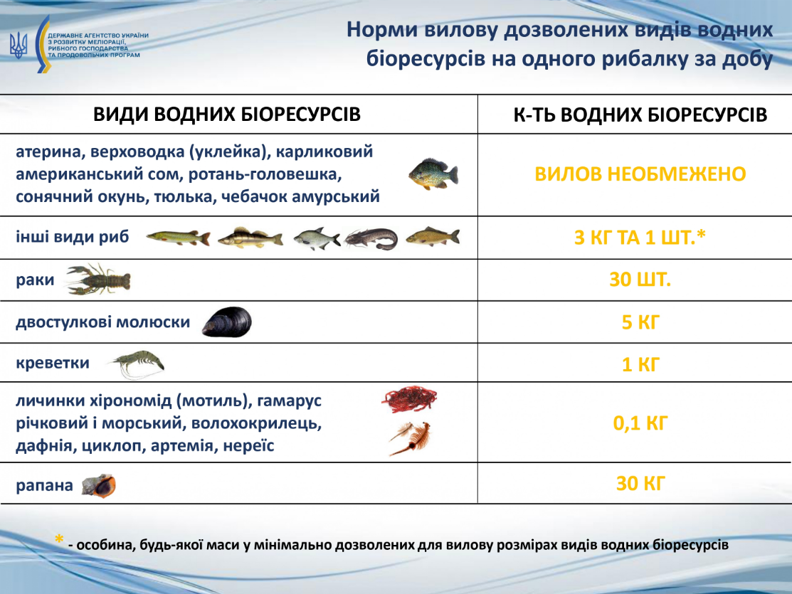 Ці риби змінюють поведінку в серпні: як зловити трофей і не нарватись на штраф