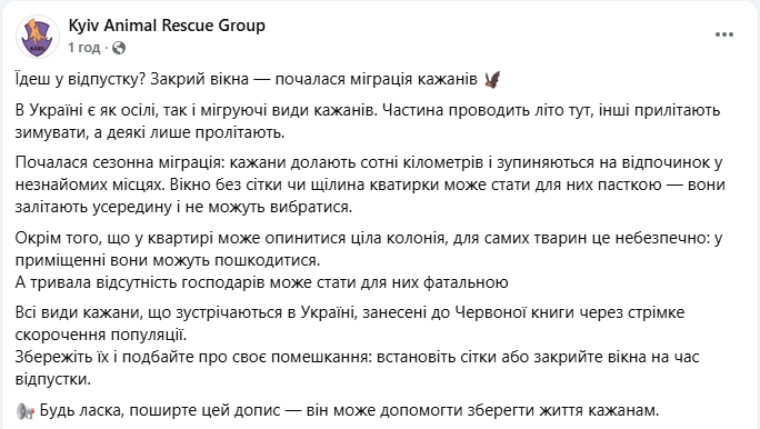 Ціла колонія у квартирі? Як українцям уникнути навали червонокнижних "гостей"