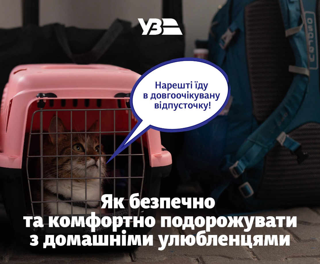 Нужен ли собаке билет на поезд и что делать пассажирам с аллергией: правила от УЗ