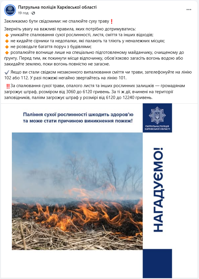 В Україні штрафують за осінні "звички": що не можна робити