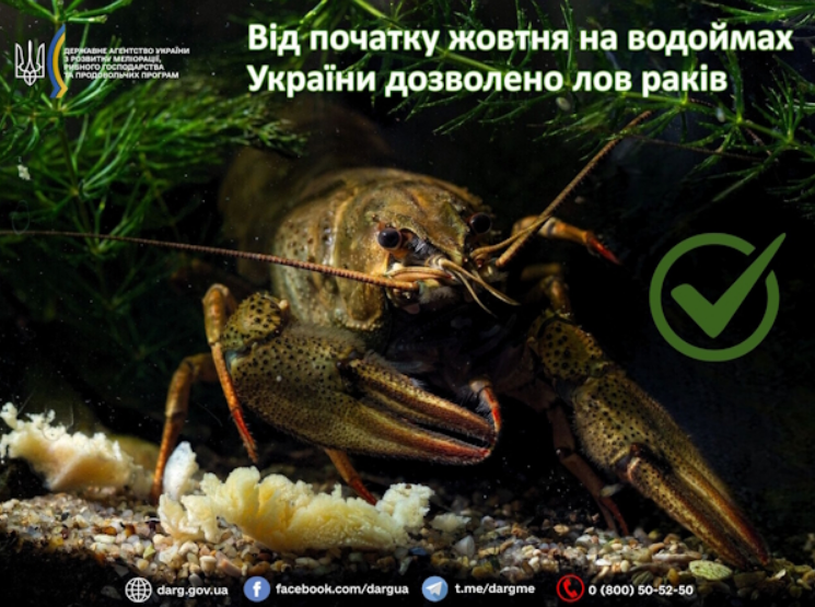 Заборону знято: як ловити раків на водоймах України, щоб не нарватися на штраф