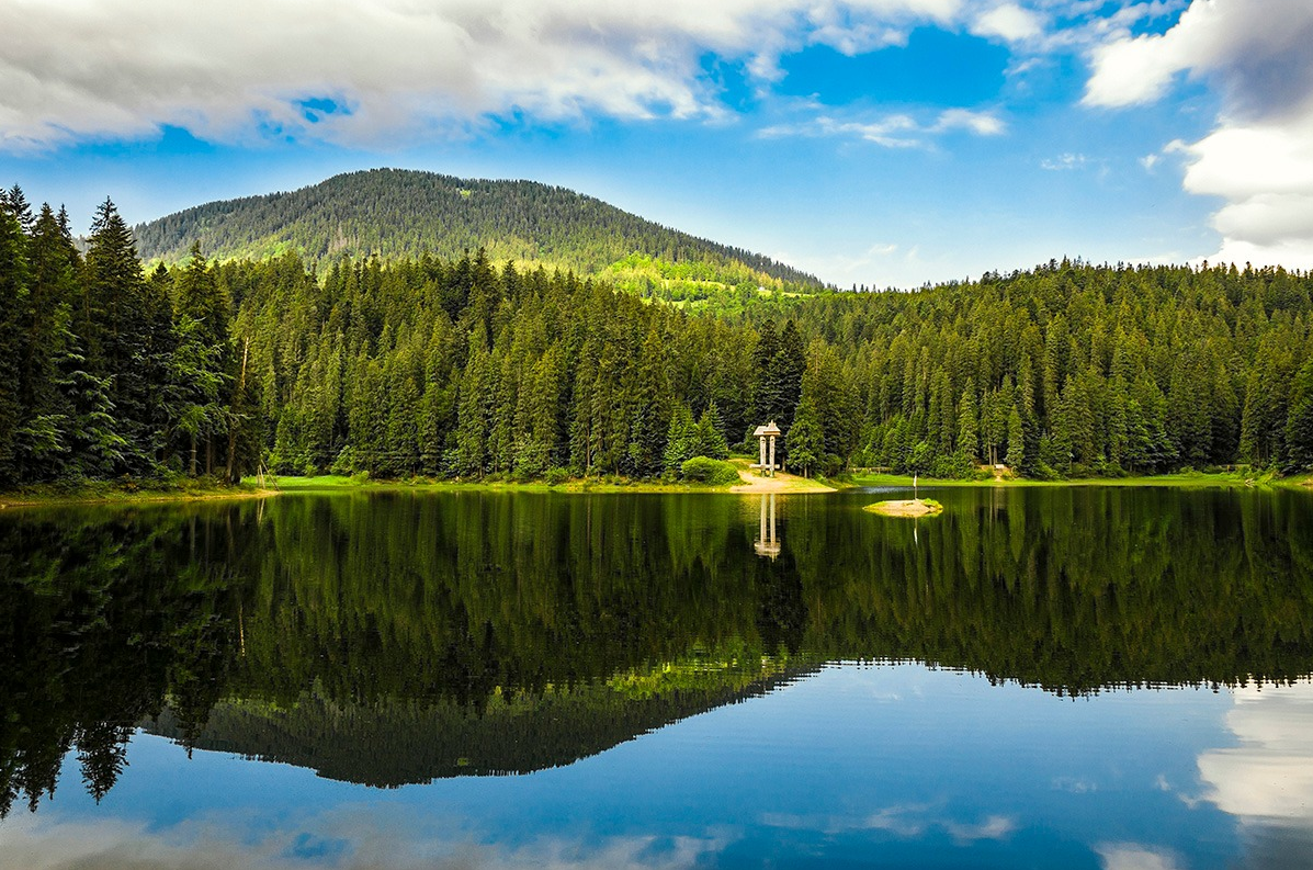 Два українських села визнали найкращими у світі: в якій області вони знаходяться (фото)