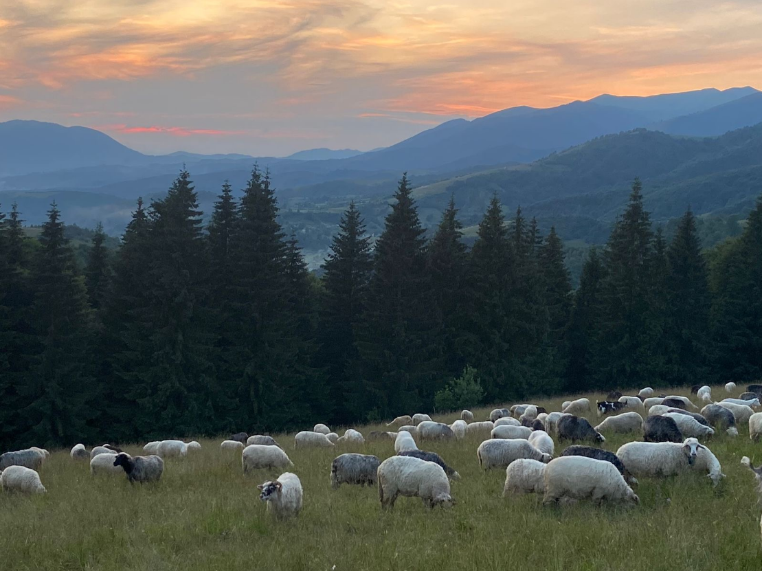 Два українських села визнали найкращими у світі: в якій області вони знаходяться (фото)