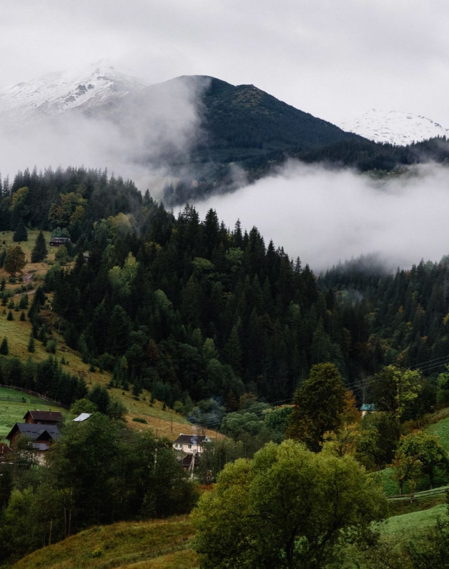Два українських села визнали найкращими у світі: в якій області вони знаходяться (фото)