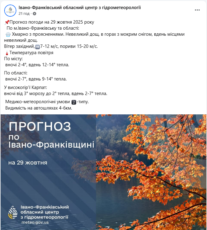 У Карпатах намело до 80 см снігу: рятувальники показали, що відбувається (фото)