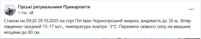 У Карпатах намело до 80 см снігу: рятувальники показали, що відбувається (фото)