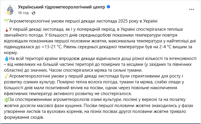 Погода в листопаді здивувала? Агрометеорологи пояснили, що відбувається з озиминою в Україні