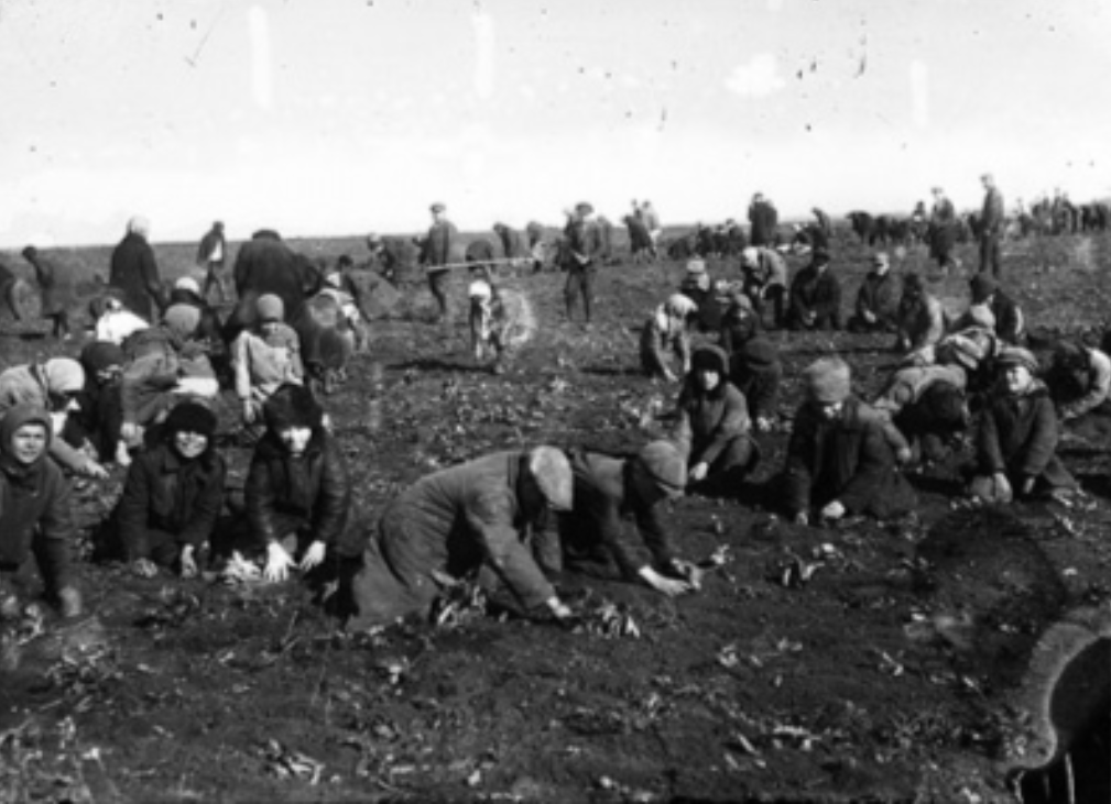 Вся правда о Голодоморе: интервью с историком о преступлениях сталинского режима