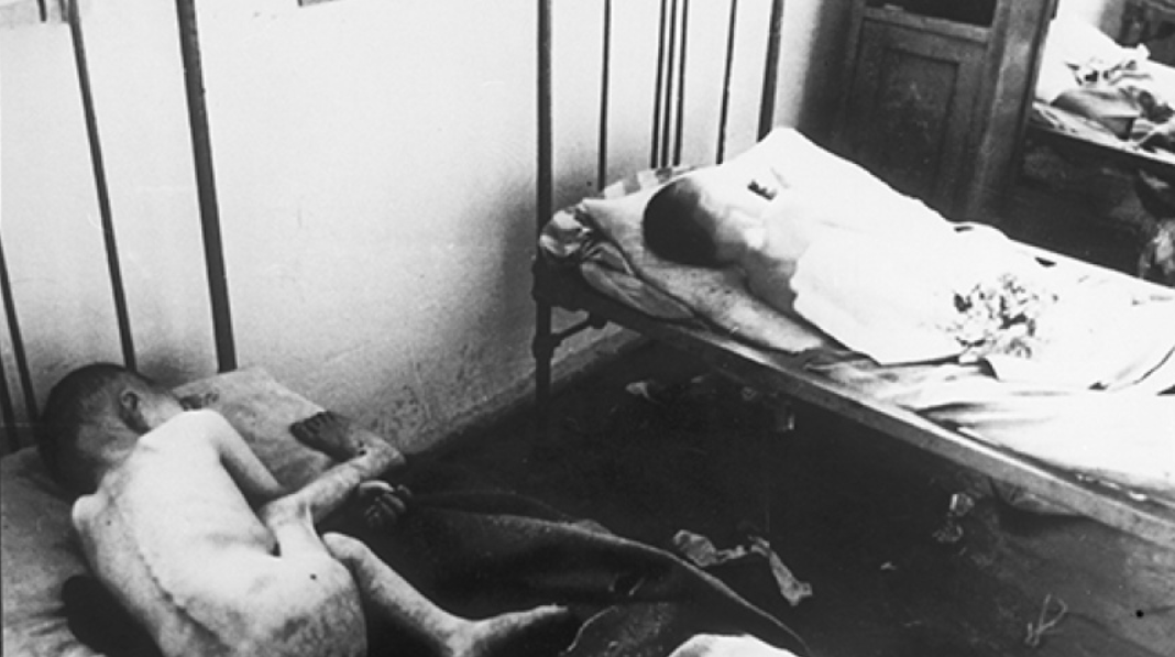 Вся правда о Голодоморе: интервью с историком о преступлениях сталинского режима