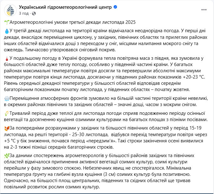 Від рекордного тепла до снігу: як різкі зміни погоди в листопаді вплинули на озимі культури