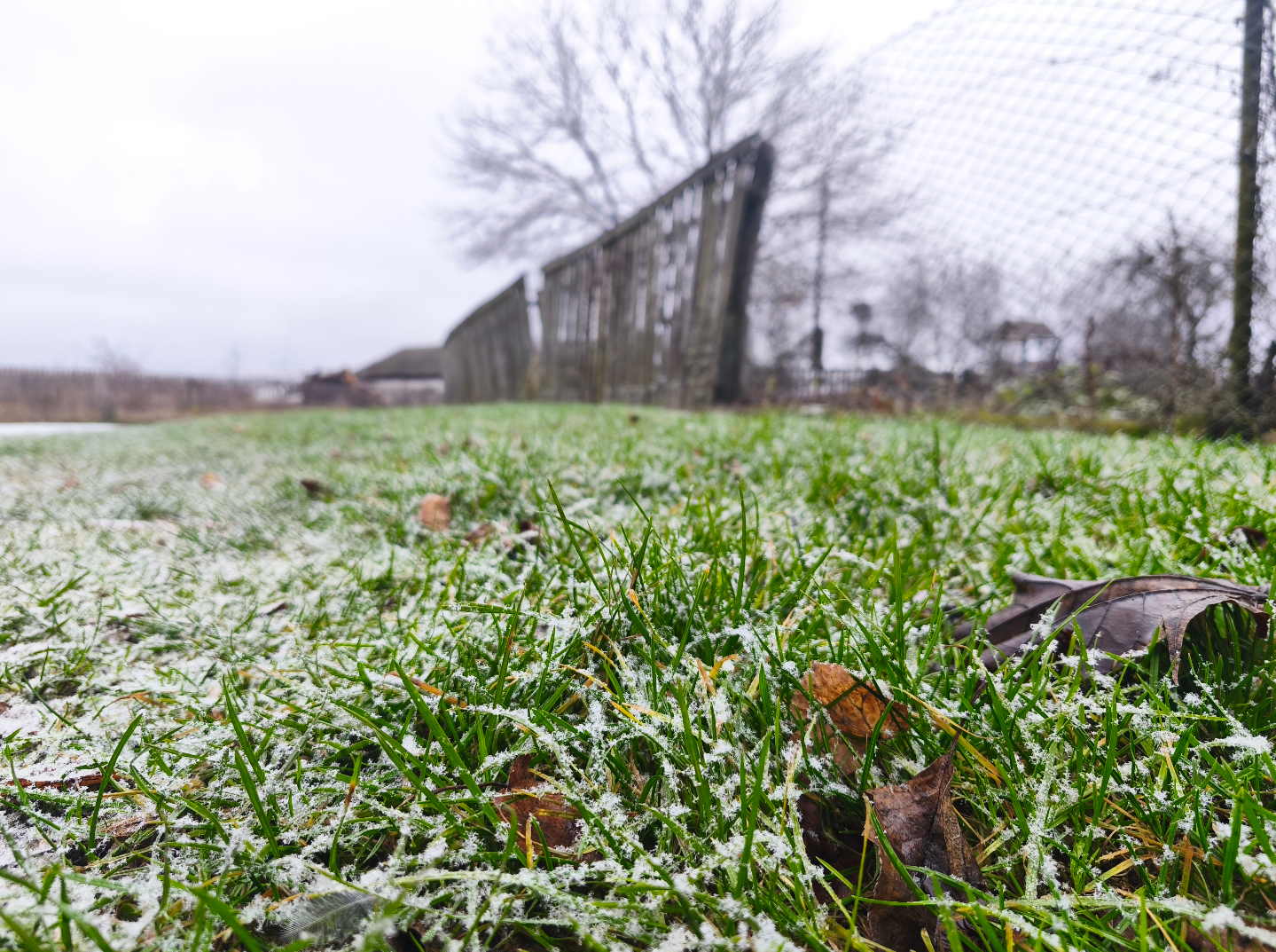 Дощі "замерзли": де в Україні помітили сьогодні сніг (фото, відео)