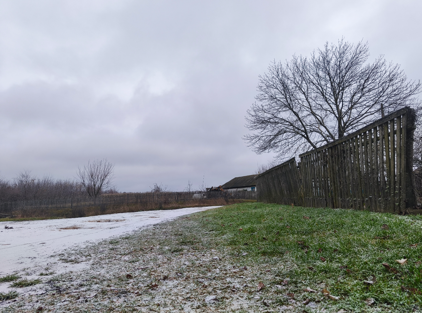 Дощі "замерзли": де в Україні помітили сьогодні сніг (фото, відео)