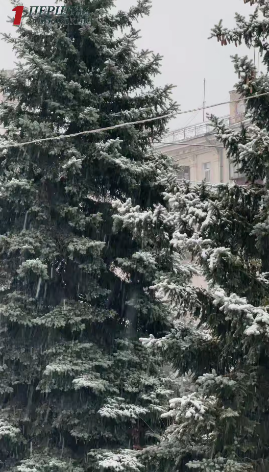 В Україні знову засніжило: де сьогодні побіліли вулиці (фото, відео)