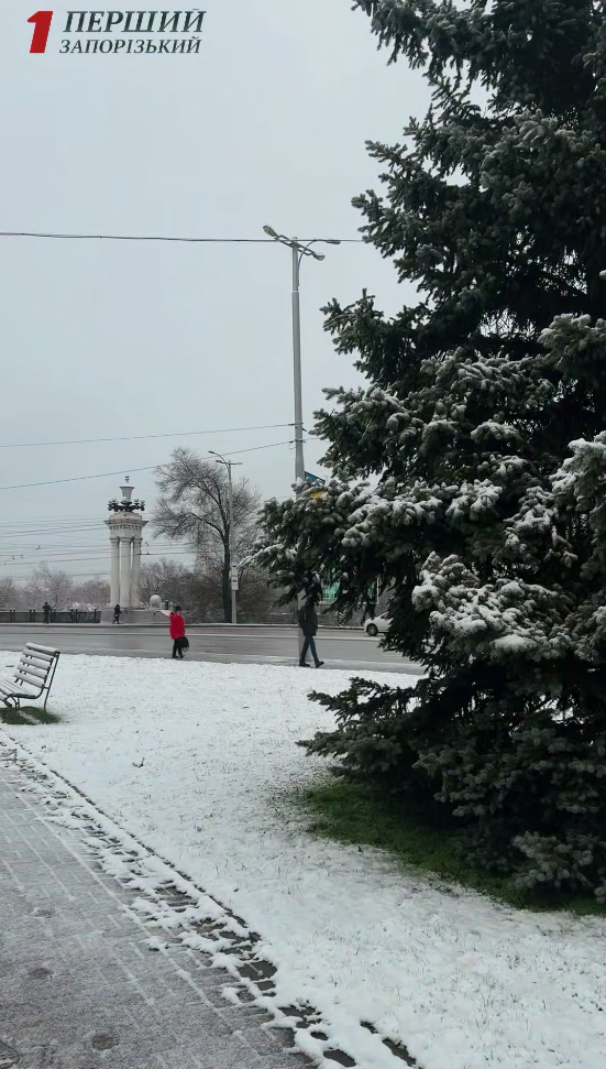 В Україні знову засніжило: де сьогодні побіліли вулиці (фото, відео)