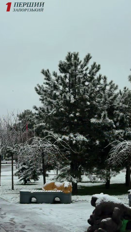 В Україні знову засніжило: де сьогодні побіліли вулиці (фото, відео)