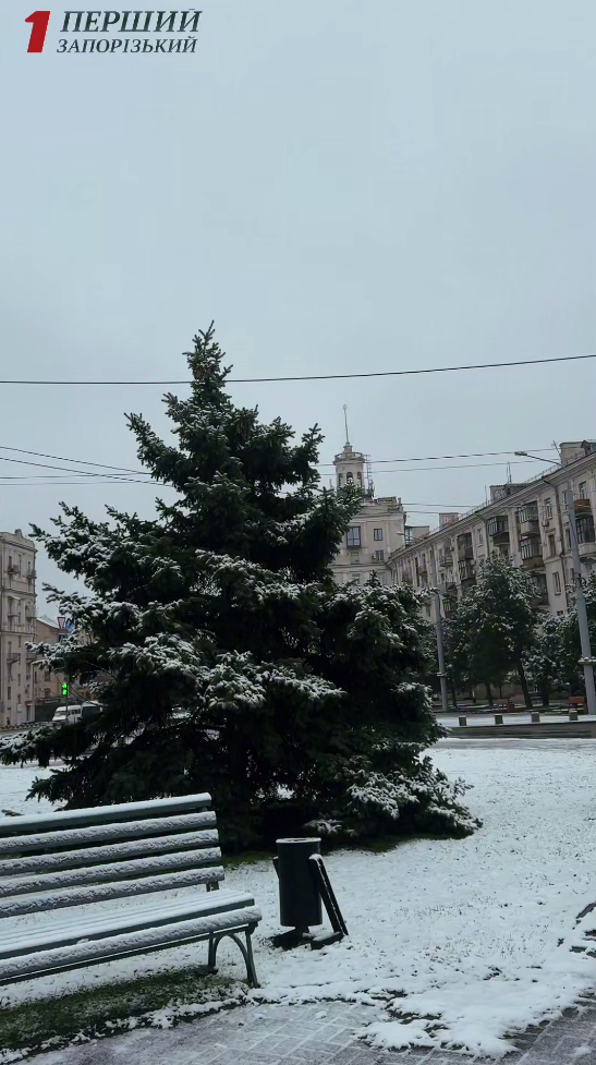 В Україні знову засніжило: де сьогодні побіліли вулиці (фото, відео)